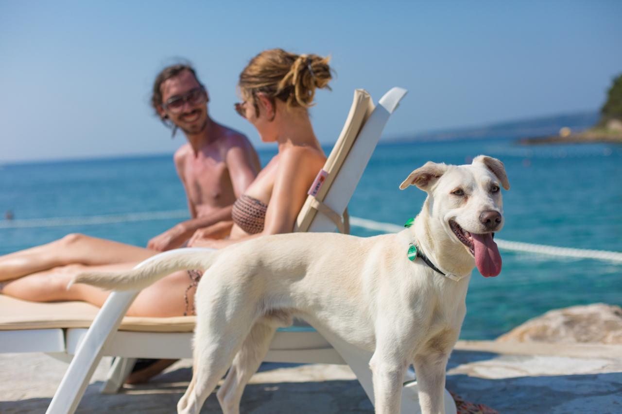 Valamar Camping Jezevac クルク エクステリア 写真